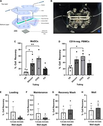 A Synthetic Hydrogel, VitroGel® ORGANOID-3, Improves Immune Cell-Epithelial Interactions in a Tissue Chip Co-Culture Model of Human Gastric Organoids and Dendritic Cells